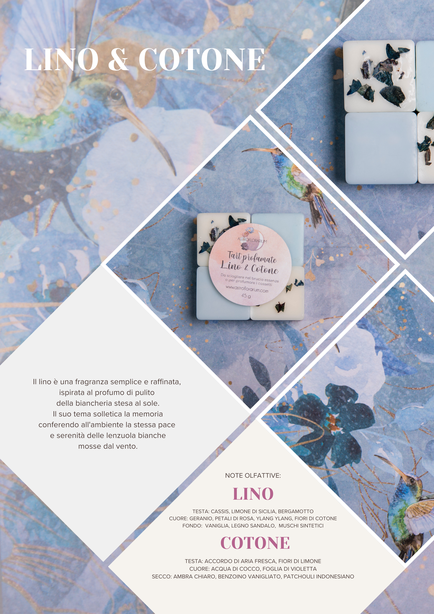 tart LINO & COTONE