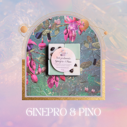 Tart GINEPRO & PINO