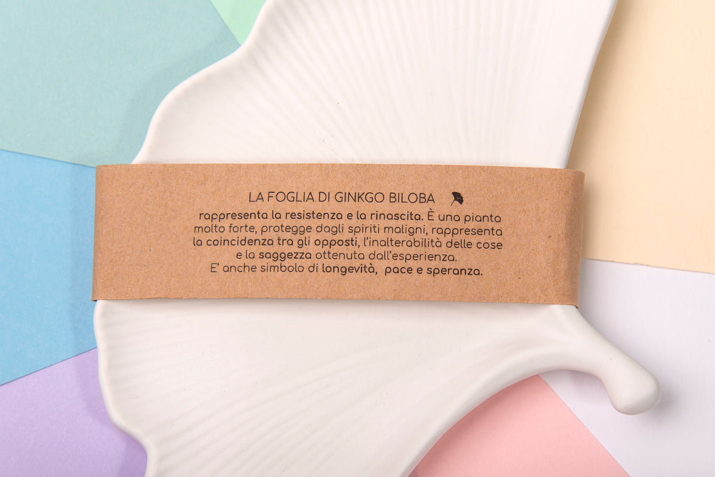 Vassoio FOGLIA DI GINKGO BILOBA