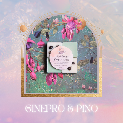 Tart GINEPRO & PINO