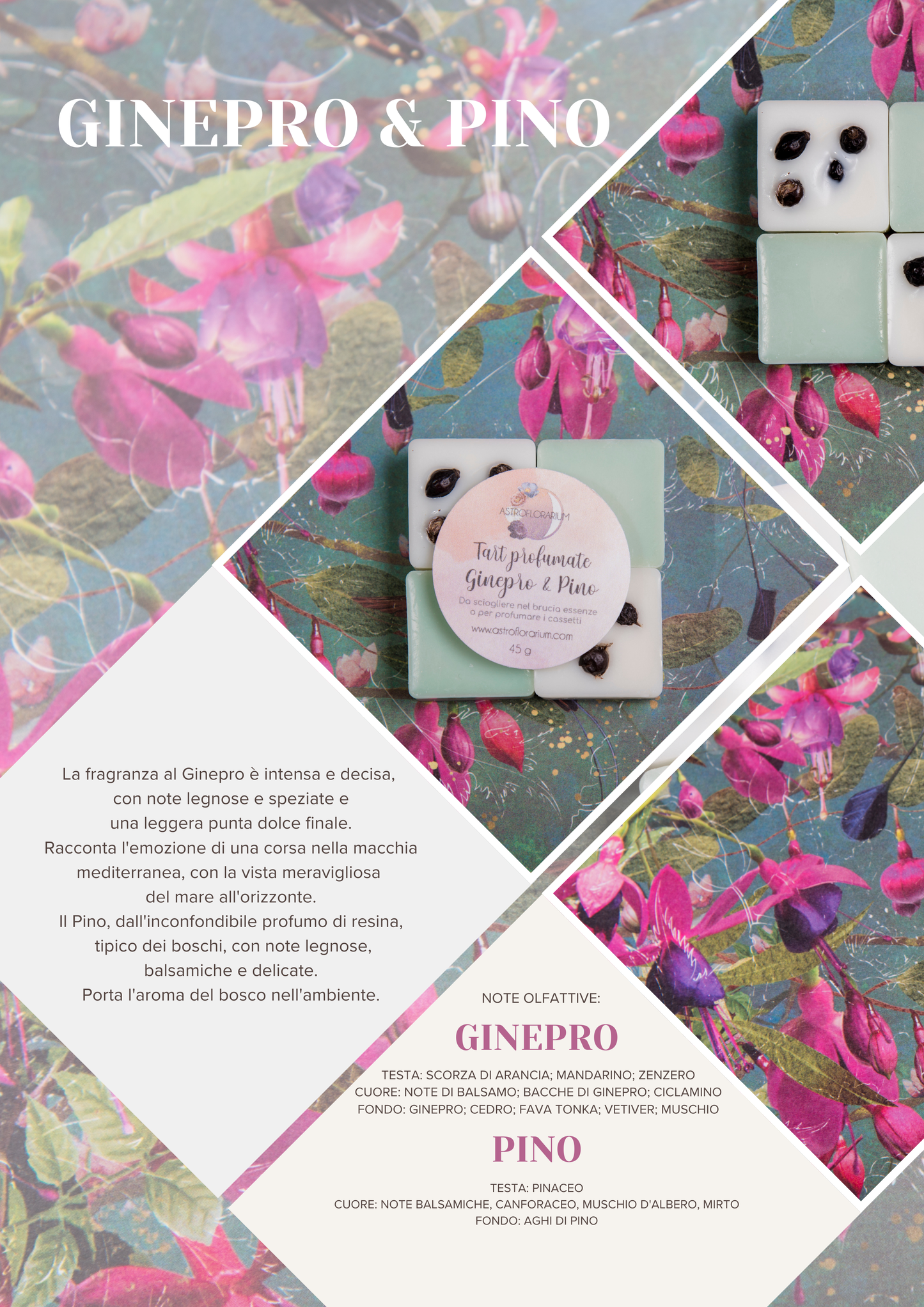 Tart GINEPRO & PINO