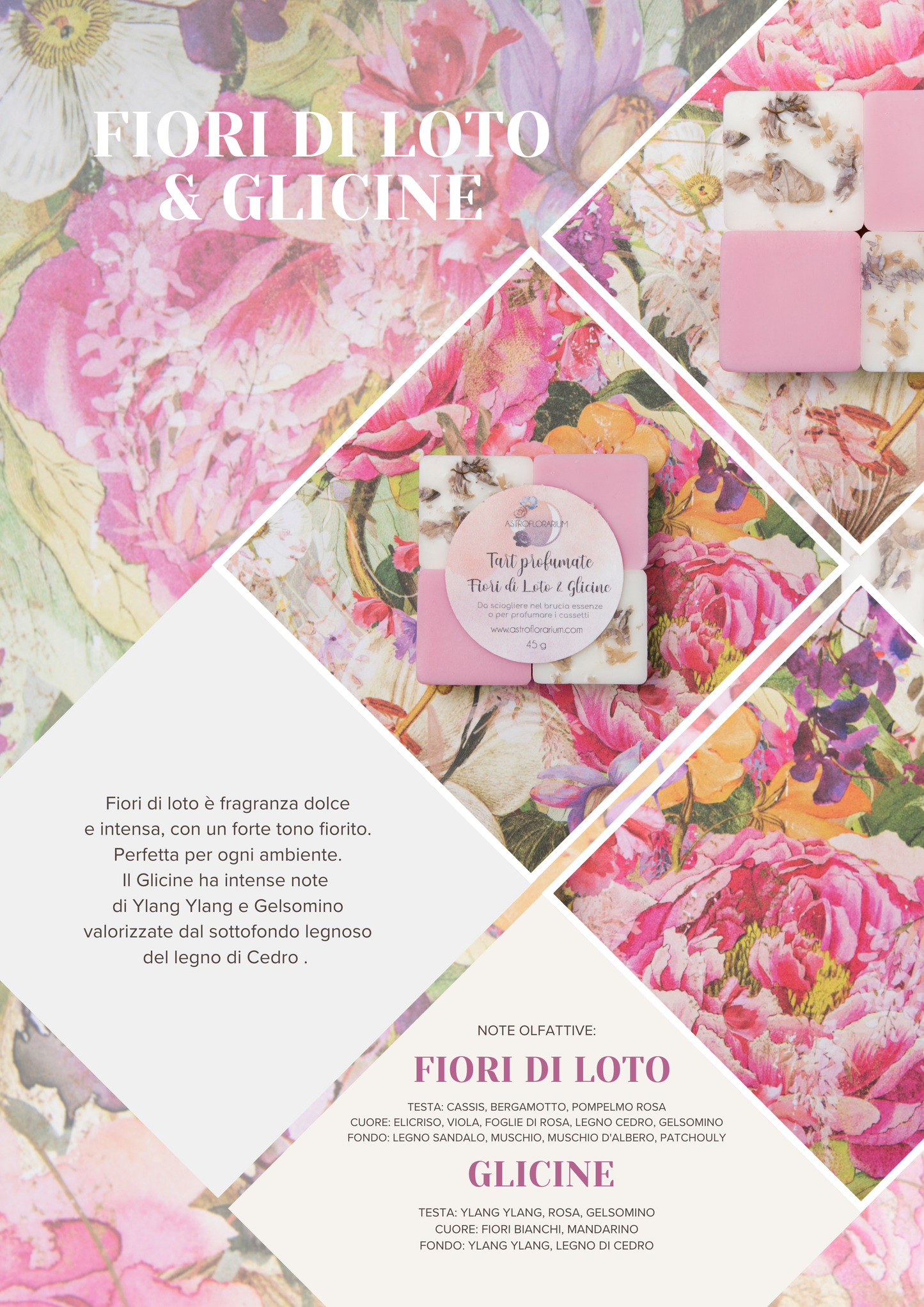 tart  FIORI DI LOTO & GLICINE